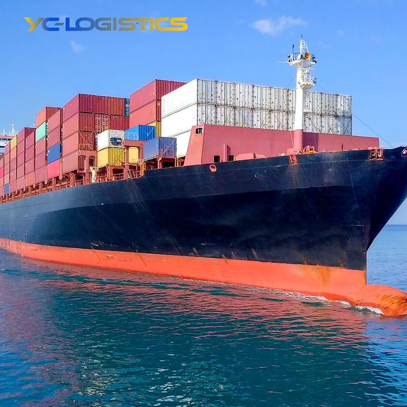 Shenzhen Freight Forwarder Sea Freight Lcl Shipping Agent From China to Canada