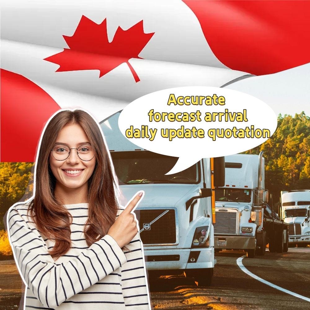 FBA Dropping Shipping Business Lcl Express Ddp to Door From China to UK Spain France Italy Germany Poland Dropshipping AgentFBA Dropping Shipping Business Lcl Express Ddp to Door From China to UK Spain France Italy Germany Poland Dropshipping Agent