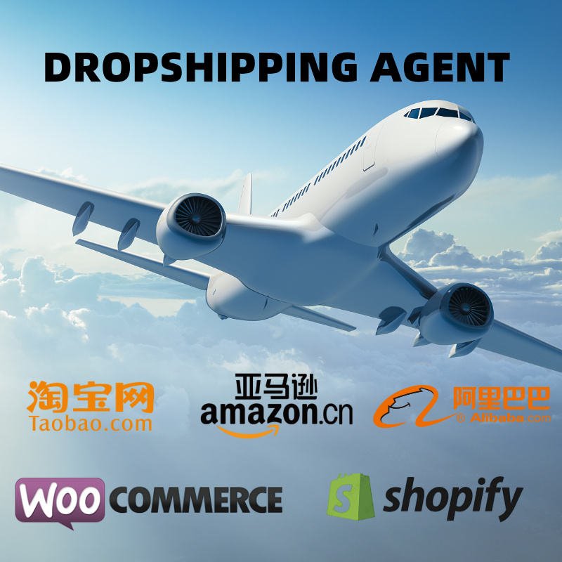 Worldwide Express Air Shipping Door-to-Door Freight Forwarding Logistics Service DDP 24/7 Support Insurance SUHU EXPRESS China