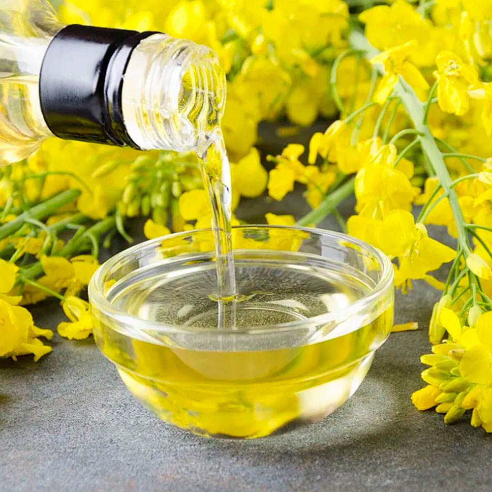 Wholesale High Quality Canola/Rapeseed Oil | Pure Refined & Crude Edible Cooking Oil Bulk Supply