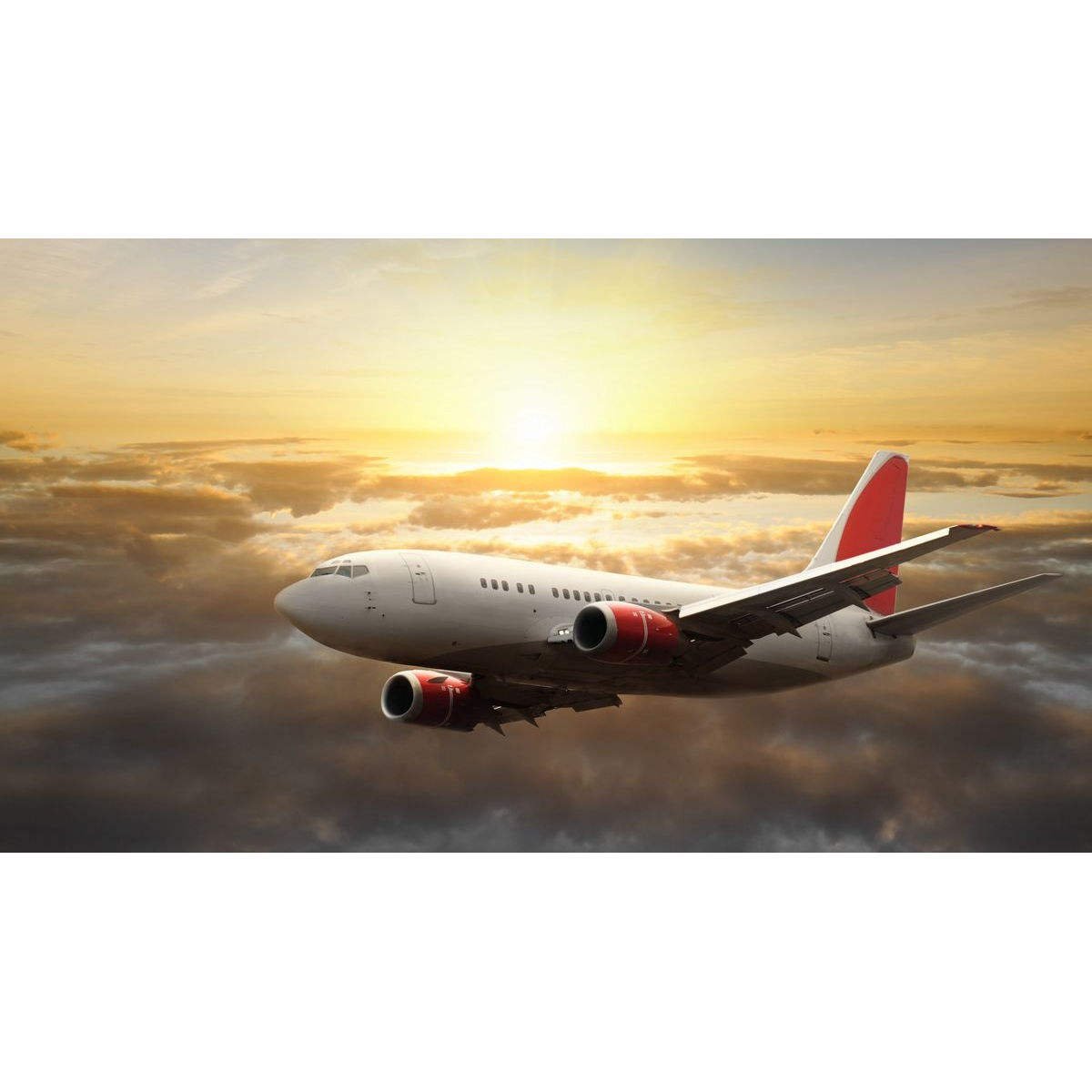 Express Air European air delivery full package door-to-door