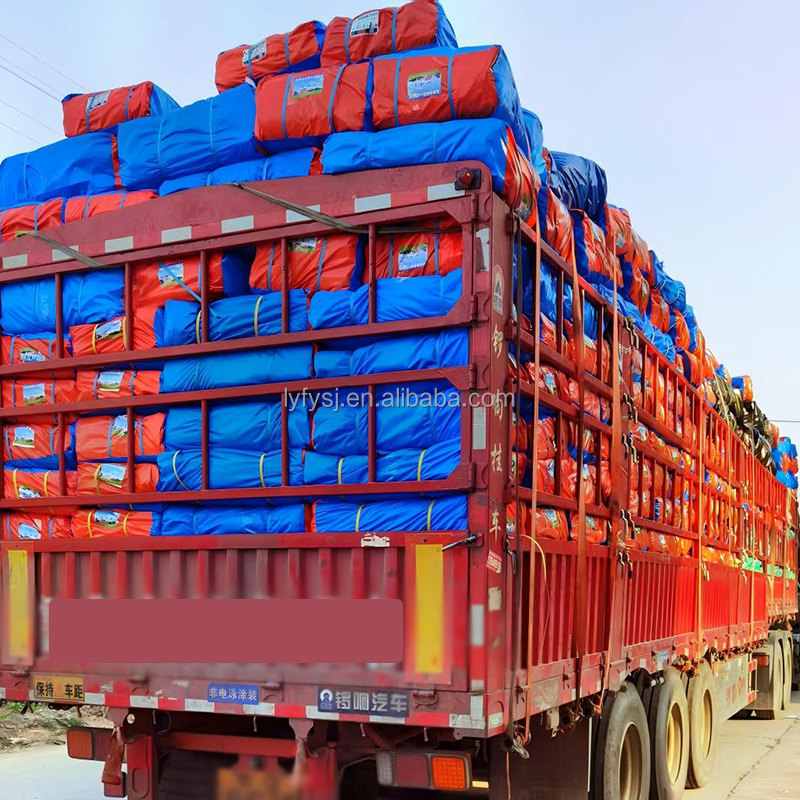 Factory Direct Sale Plastic Tarps Waterproof PE Tarpaulin for Truck Cargo Protection and Construction Site Use