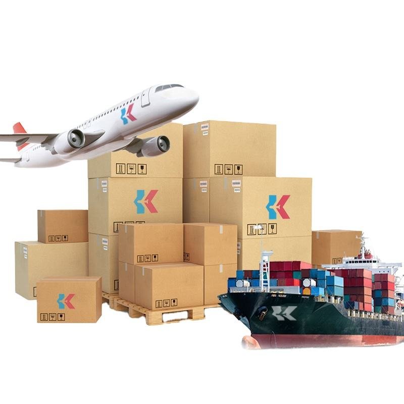 From China to South American Countries International Shipping Agent Air DDP Sea DDP LCL Express Cheapest Transportation