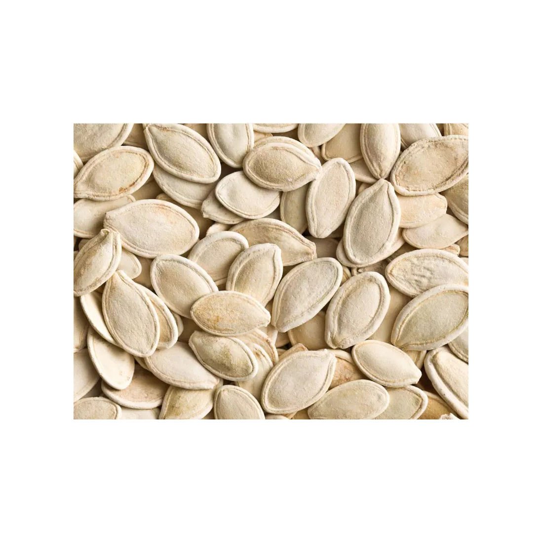 Wholesale Dried Pumpkin Seeds Bulk Supply Low Price Fresh and Nutrient Rich Food Grade
