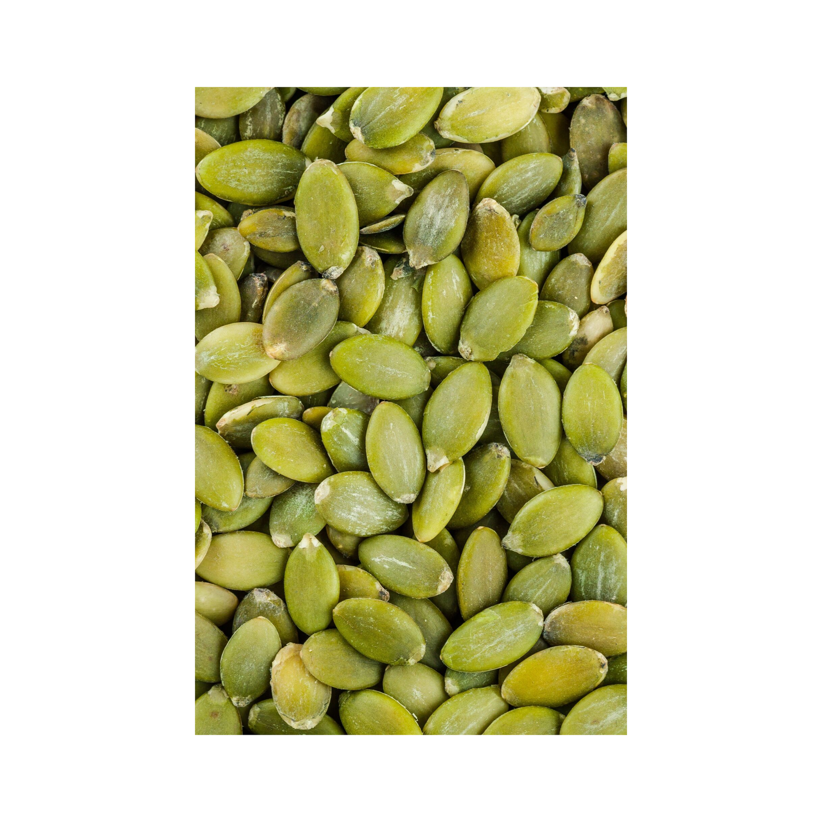 Wholesale Dried Pumpkin Seeds Bulk Supply Low Price Fresh and Nutrient Rich Food Grade