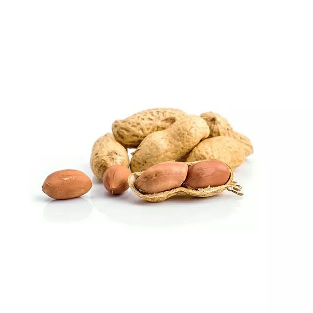 Buyers For Wholesale Jumbo Raw Peanuts High Quality Natural Bold Blanched Peanuts Kernels