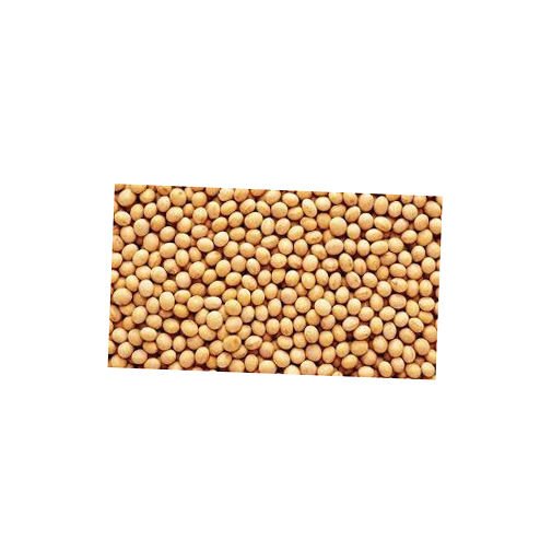 Good Quality Soyabean / Soybeans Seeds / Soy Bean Bulk Customized Package Organic Dried High Protein NON GMO Small Size
