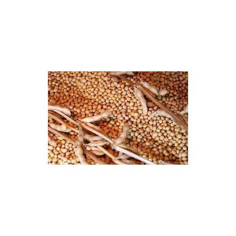 Good Quality Soyabean / Soybeans Seeds / Soy Bean Bulk Customized Package Organic Dried High Protein NON GMO Small Size