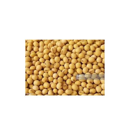 Good Quality Soyabean / Soybeans Seeds / Soy Bean Bulk Customized Package Organic Dried High Protein NON GMO Small Size
