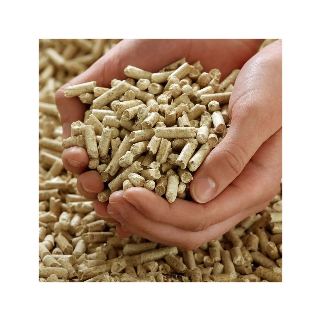 Biomass Pellet Wood Pellets for Blast Stove Warm Fireplace Best Quality Wood Pellets Bio-mass Fuel for Sale