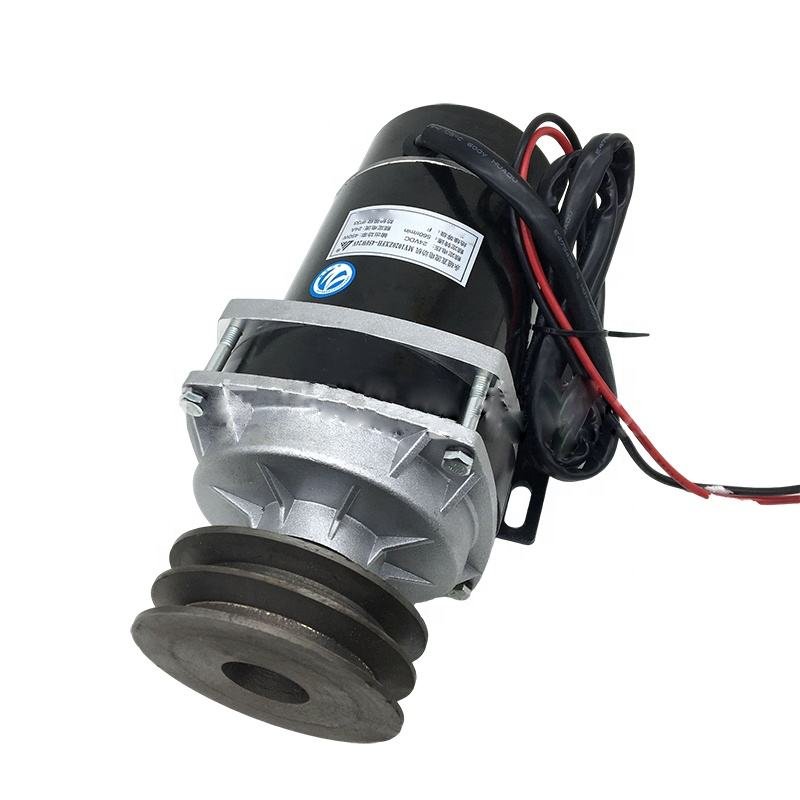 48V 650W MY1020ZXF Dual Pulley Brushed DC Motor for Solar-Powered Devices