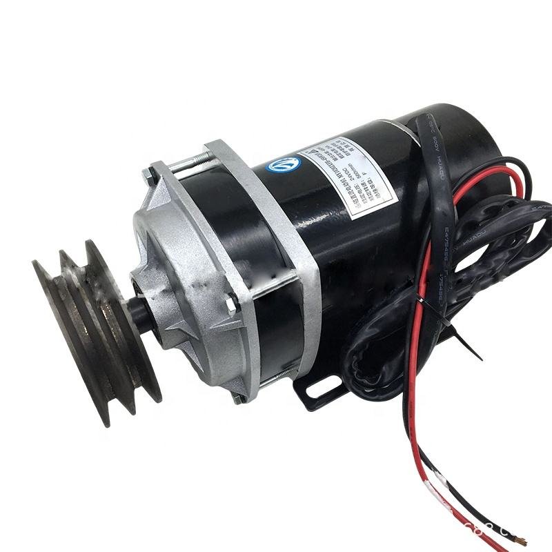48V 650W MY1020ZXF Dual Pulley Brushed DC Motor for Solar-Powered Devices