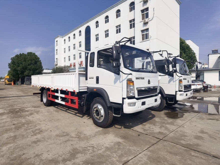 Good Condition 8 Tonnes-10tones 6 Tyres HOWO 4x2 Cargo Trucks for Sale