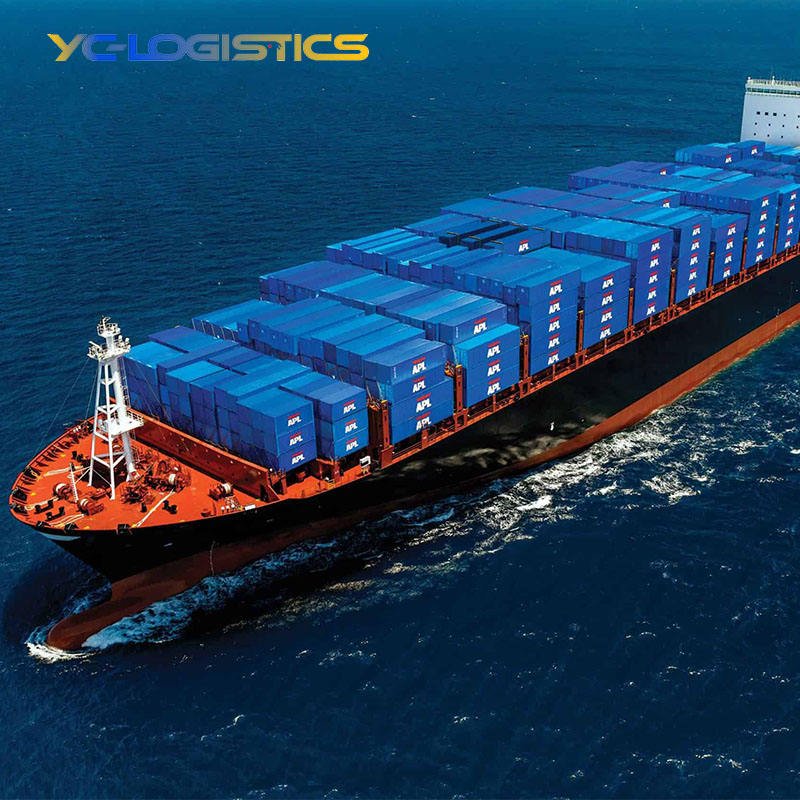 Sea Freight Forwarder Agent Cargo Ship From China to Finland and Fast Shipping