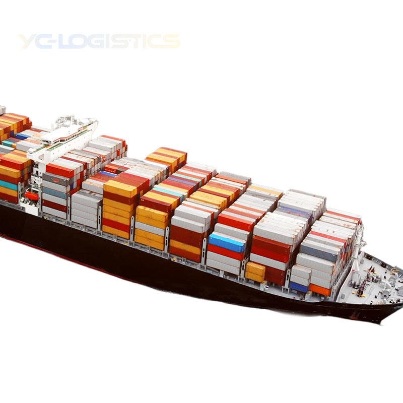 China Forwarding Agent Sea Service Shipping From China to UAE Shipping Agent