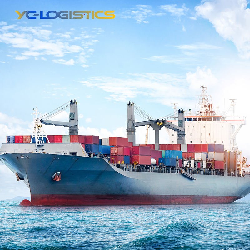 China Forwarding Agent Sea Service Shipping From China to UAE Shipping Agent