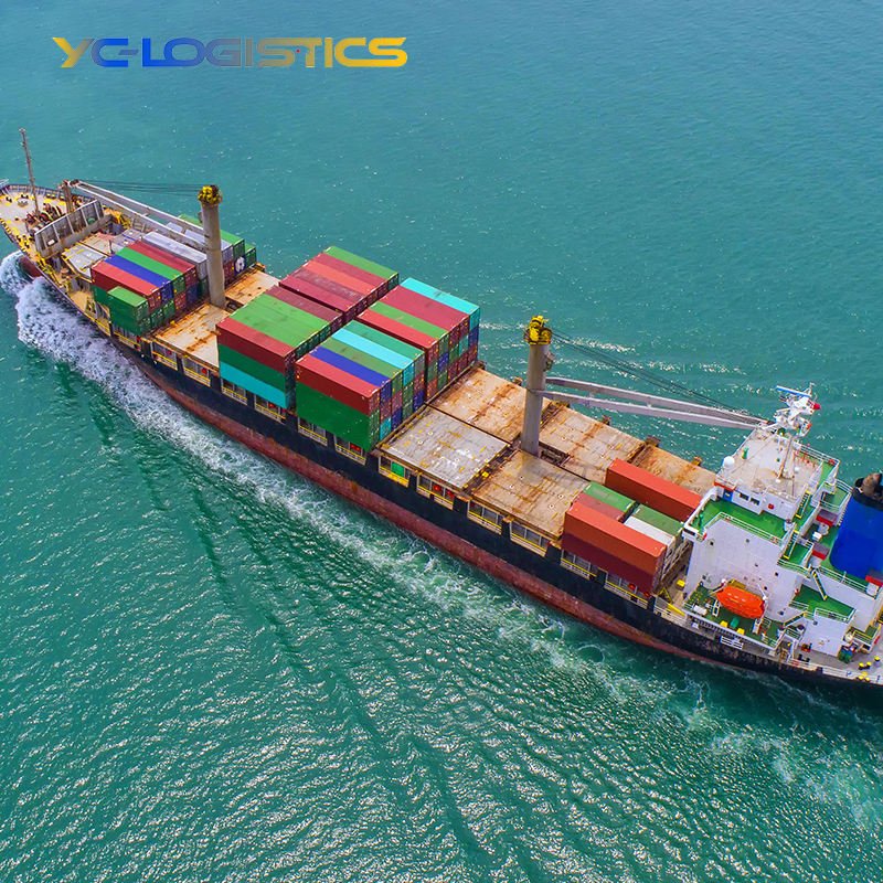 China Forwarding Agent Sea Service Shipping From China to UAE Shipping Agent