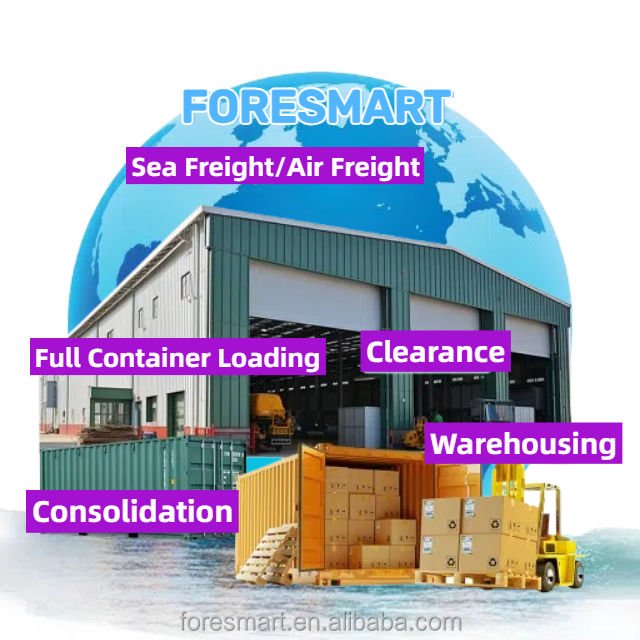 Freight Train Railway Forwarder Shipping Agent Cargo Logistics Ddp Service From China to Poland Netherlands Uk Germany Europe