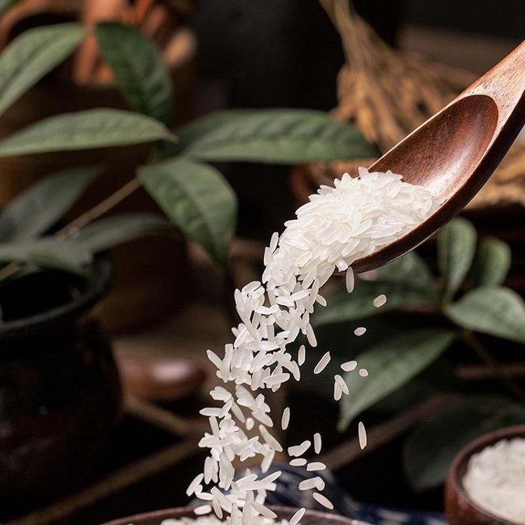 Sanam Luang Thai Hom Mali Rice Premium Thai Jasmine Rice Authentic Thai Fragrant Rice for Cooking Home Use Export Bulk Supply