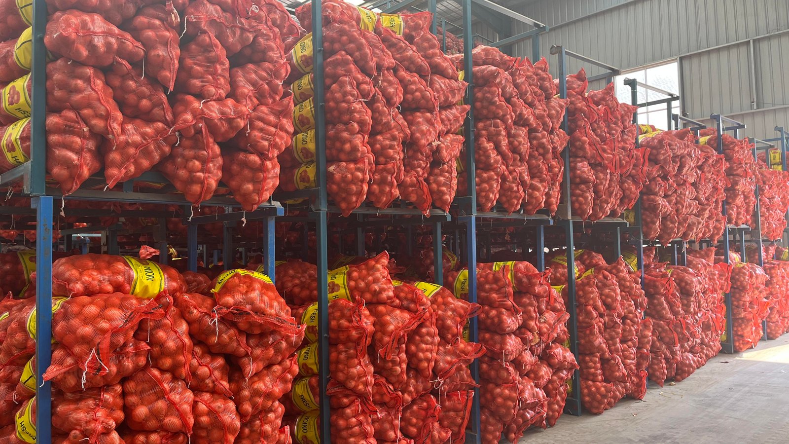 New Crop TOP a GRADE Fresh Yellow Onion Red Onion Thai Price 1 kg Fresh Red Onion From India