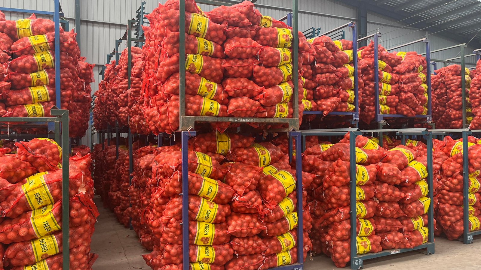 New Crop TOP a GRADE Fresh Yellow Onion Red Onion Thai Price 1 kg Fresh Red Onion From India