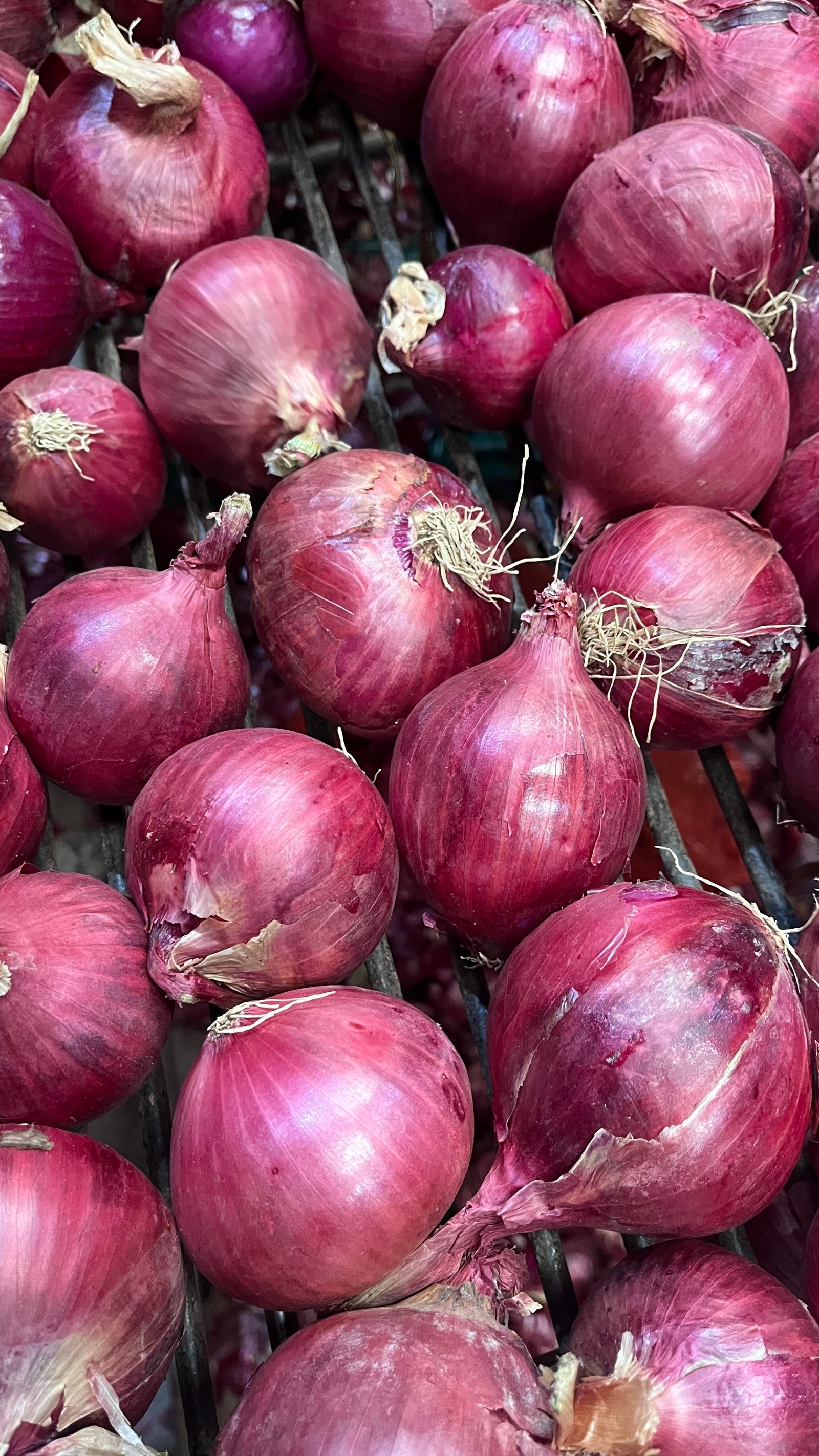 New Crop TOP a GRADE Fresh Yellow Onion Red Onion Thai Price 1 kg Fresh Red Onion From India