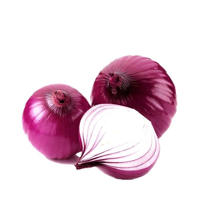 New Fresh Onions High Quality Price Wholesale Exports Green Vegetables Yellow Red Onion From China