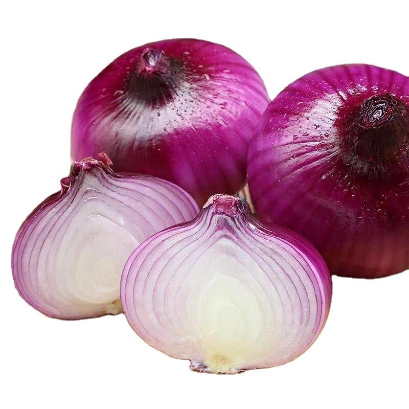 New Fresh Onions High Quality Price Wholesale Exports Green Vegetables Yellow Red Onion From China
