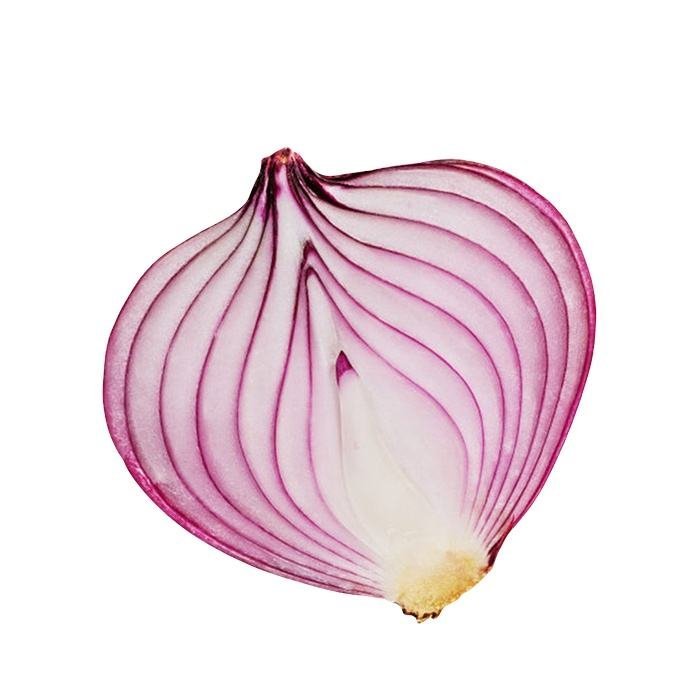 New Fresh Onions High Quality Price Wholesale Exports Green Vegetables Yellow Red Onion From China