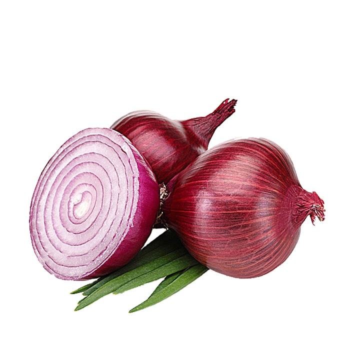 New Fresh Onions High Quality Price Wholesale Exports Green Vegetables Yellow Red Onion From China
