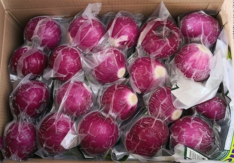 High Quality China Fresh Red Onion Price