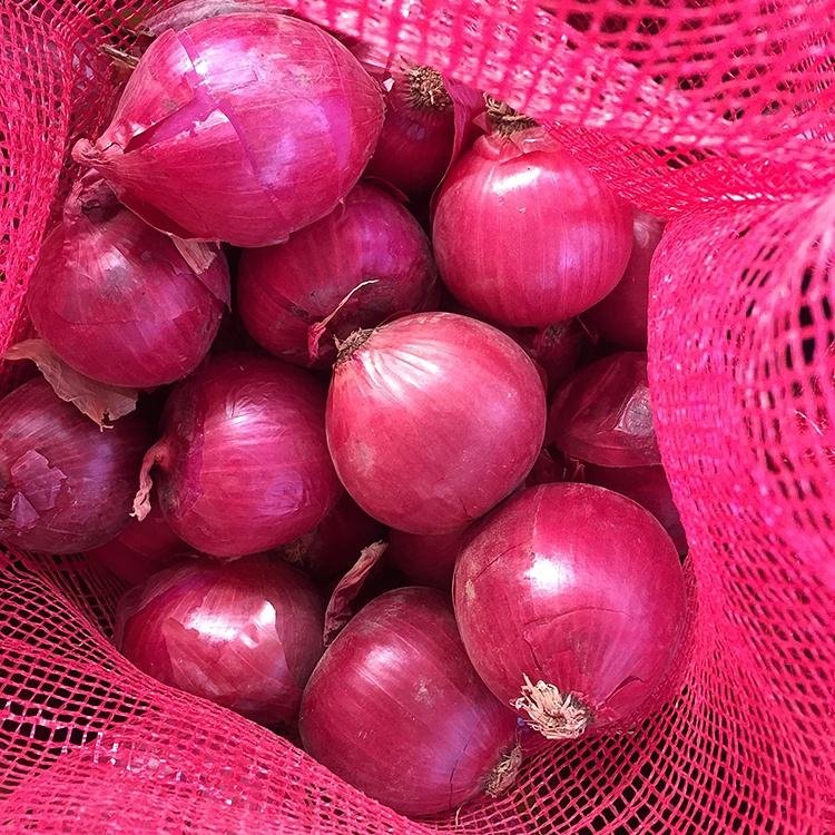 High Quality China Fresh Red Onion Price