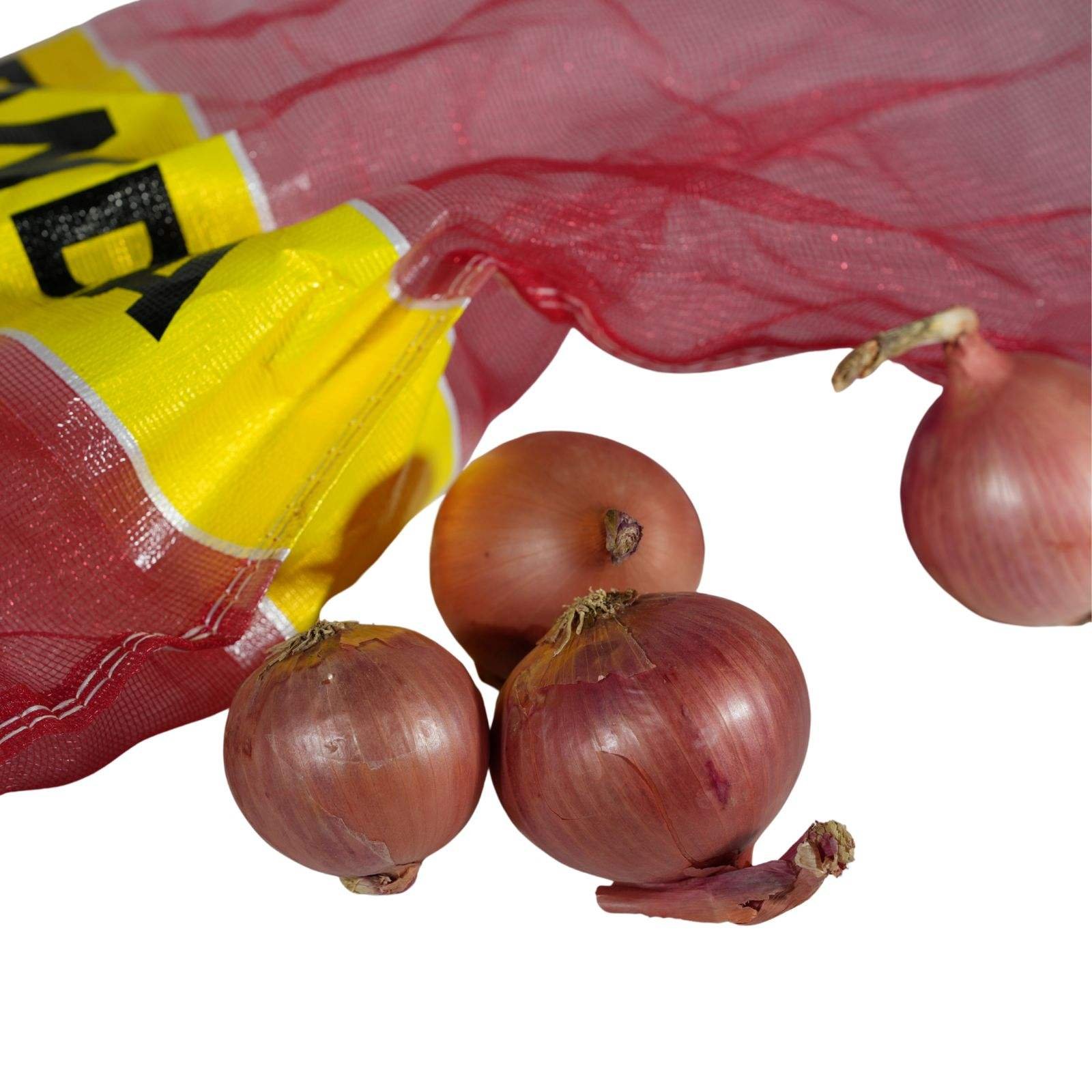 Export to Albania Fresh Onion 5-8cm 10kg Mesh Bag