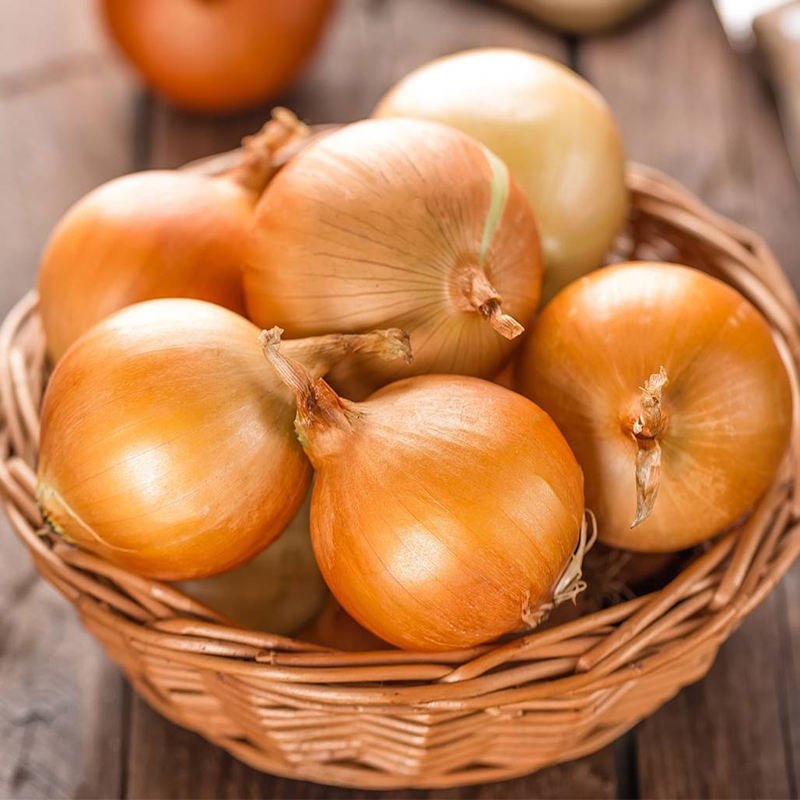 Fresh Yellow Onion Exporters in China