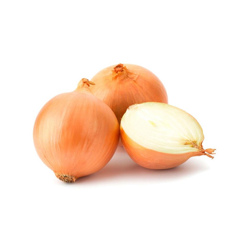 Fresh Yellow Onion Exporters in China