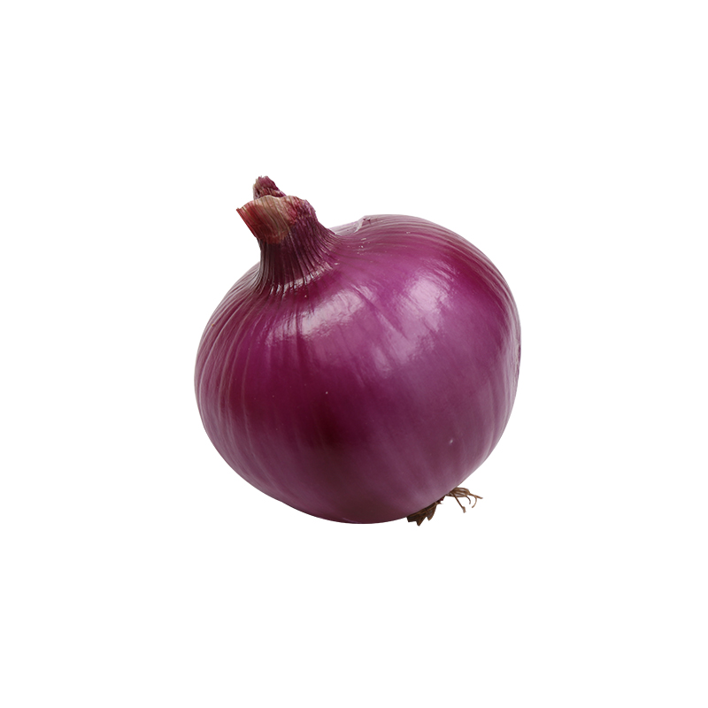 Fresh Organic Red Onion Organic Lowest Natural Price