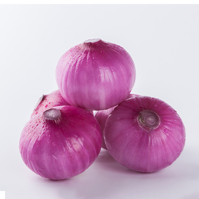 Fresh Organic Red Onion Organic Lowest Natural Price