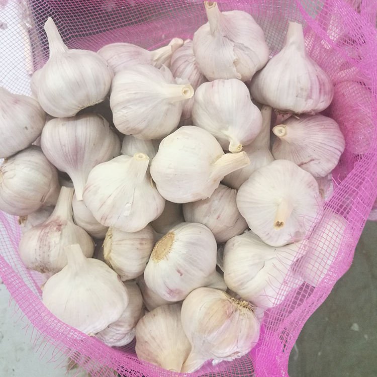 2026 Selling the Best Quality Cost-effective Products Jin Xiang Garlic