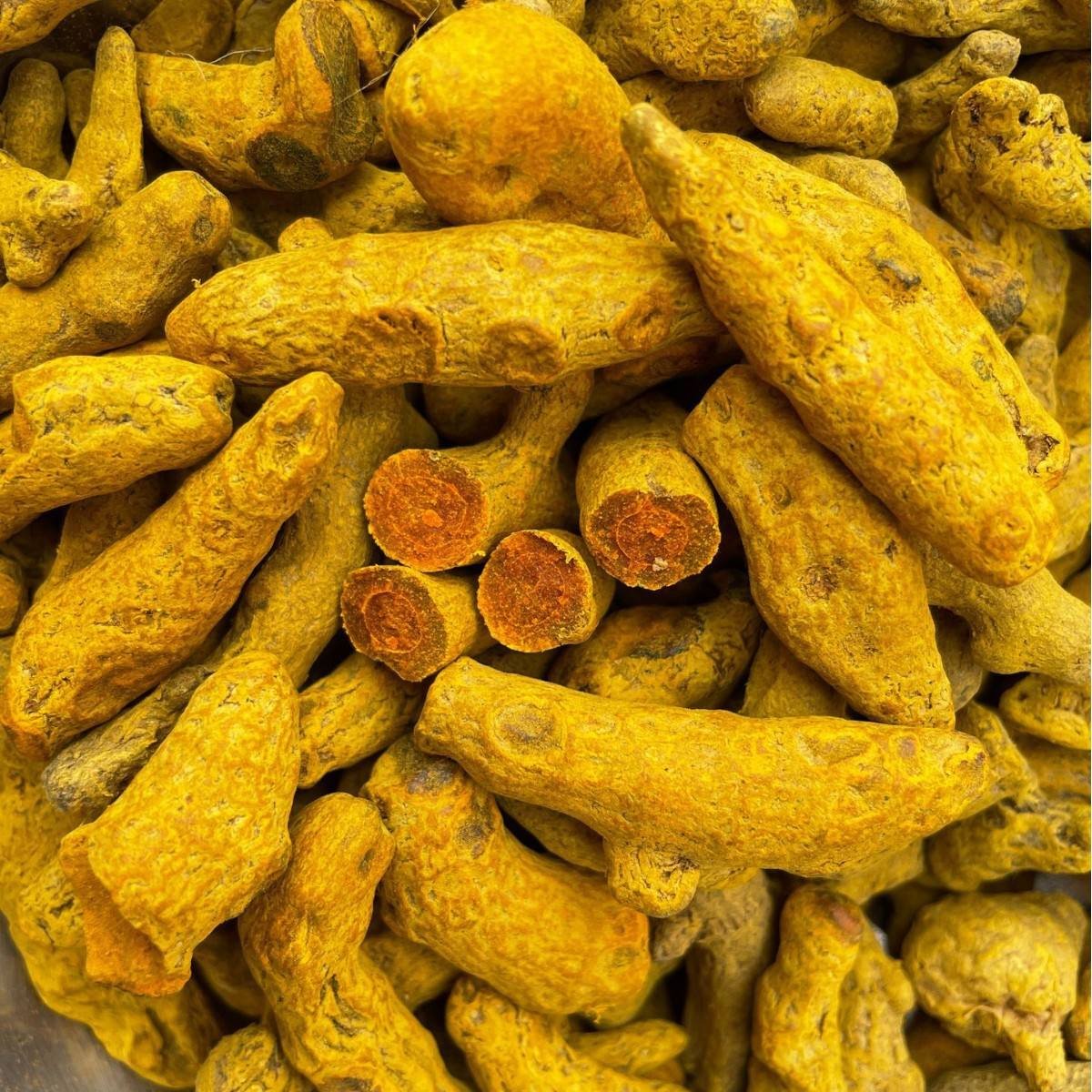 Premium Pure Turmeric Powder 100% Natural | High Curcumin Spice for Health | Bulk Wholesale China Factory Direct Price