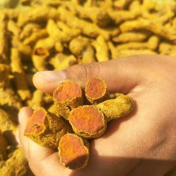 China's Wholesaler Organic Premium Grade High Quality Pure Natural Yellow Dried Turmeric Fingers Whole Rhizoma Single Spice Herb