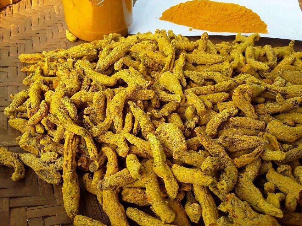 China's Wholesaler Organic Premium Grade High Quality Pure Natural Yellow Dried Turmeric Fingers Whole Rhizoma Single Spice Herb
