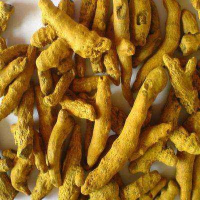 China's Wholesaler Organic Premium Grade High Quality Pure Natural Yellow Dried Turmeric Fingers Whole Rhizoma Single Spice Herb