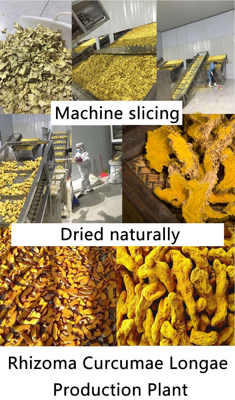 Best Quality 100% Organic AD Dried Yellow Turmeric Herb Spices Chili Hot Spicy Taste Raw Piece Packaging 100g Wholesale Price