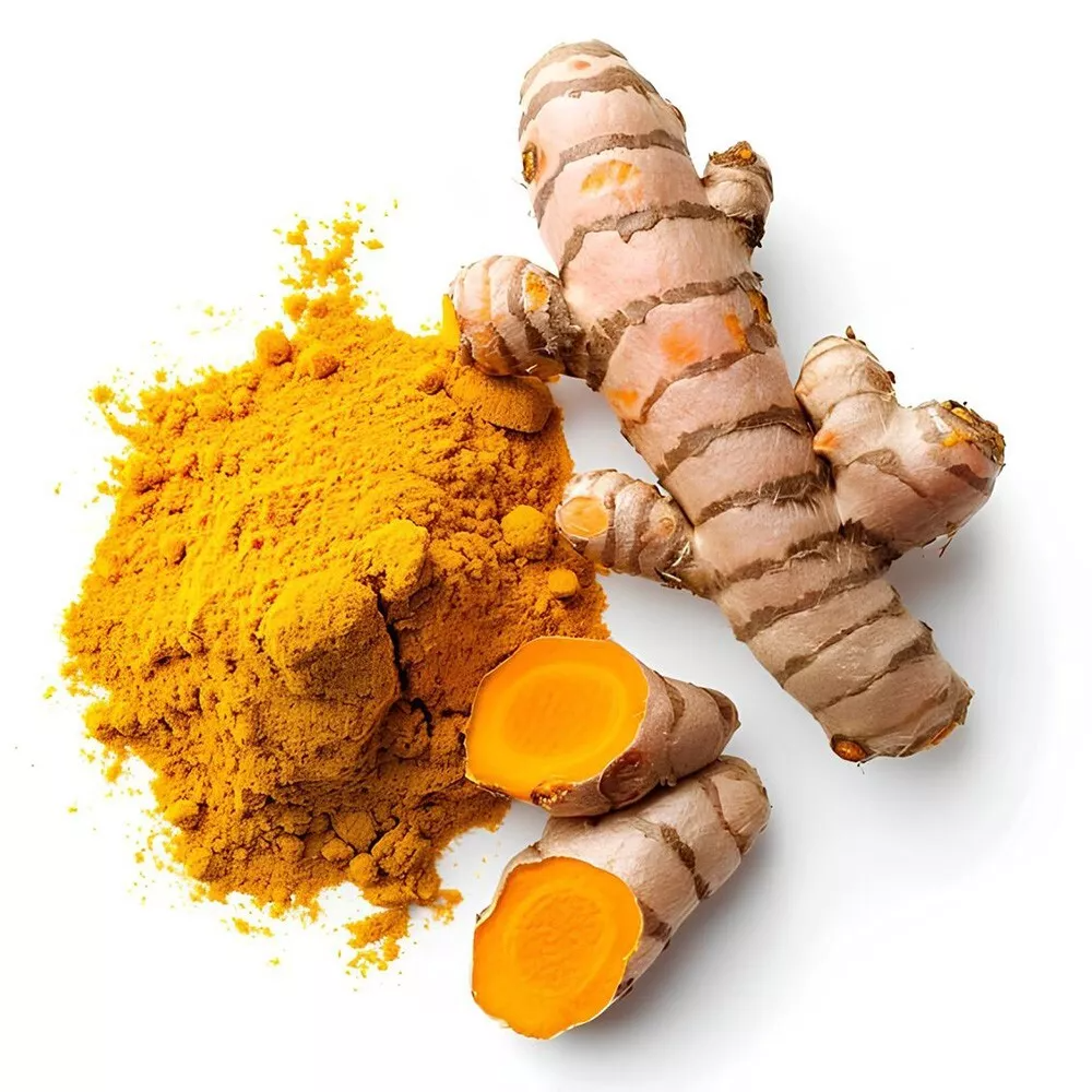 Indian High Quality 100% Pure Natural Organic Turmeric Powder Single Spices & Herbs Wholesale Price Curcuma Longa Dried Raw Root