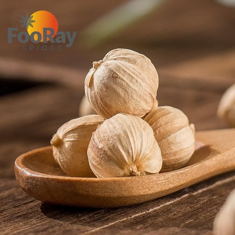 Premium Dried White Cardamom Whole Round Pods Factory Bulk Wholesale Authentic Chinese Bai Dou Kou Spice for Hot Pot Seasoning