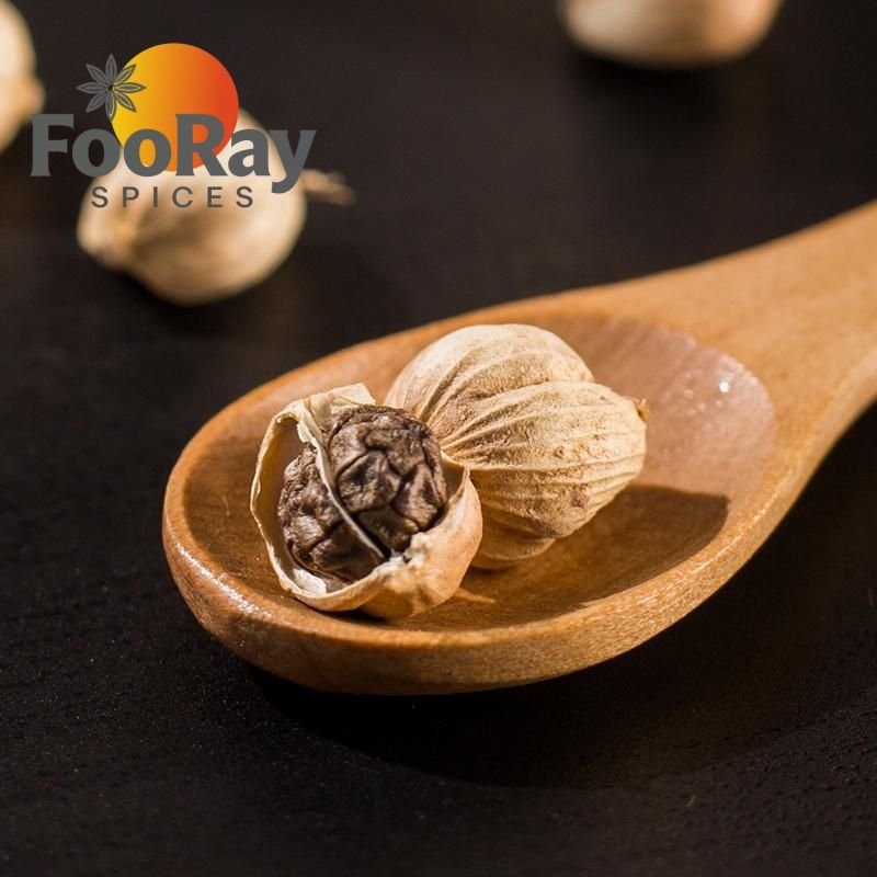 Premium Dried White Cardamom Whole Round Pods Factory Bulk Wholesale Authentic Chinese Bai Dou Kou Spice for Hot Pot Seasoning