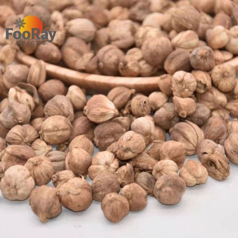 Premium Dried White Cardamom Whole Round Pods Factory Bulk Wholesale Authentic Chinese Bai Dou Kou Spice for Hot Pot Seasoning