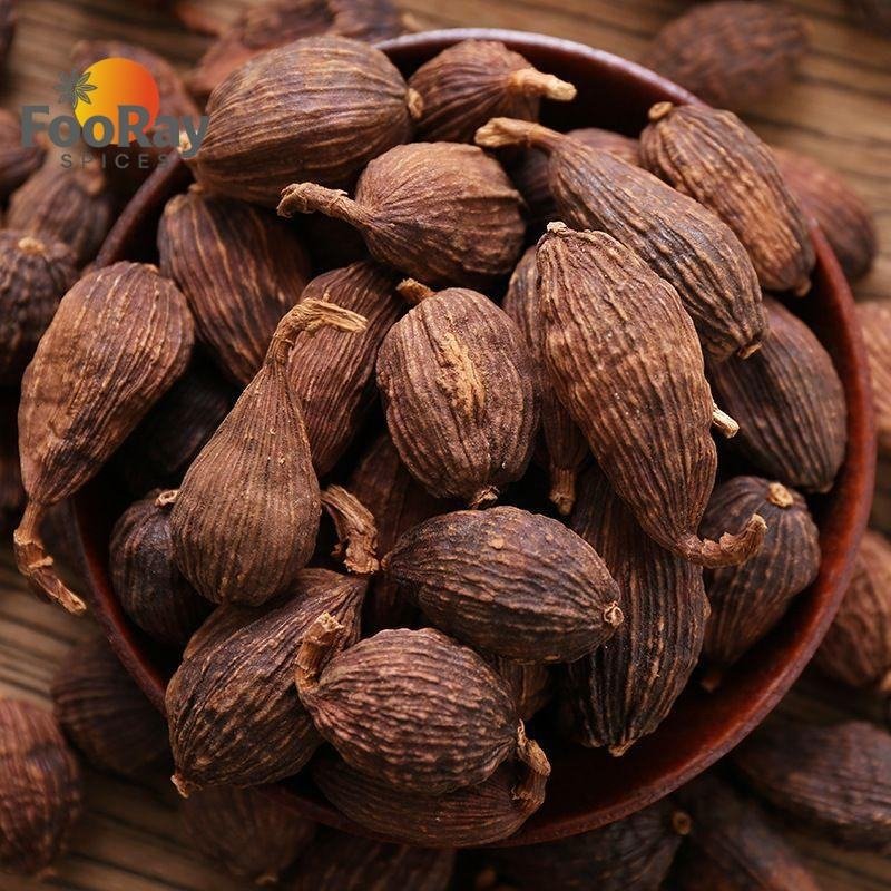 Chinese Black Cardamom Tsao Ko for Sichuan Hot Pot Base Mala Spicy Seasoning Material Factory Direct Price Wholesale