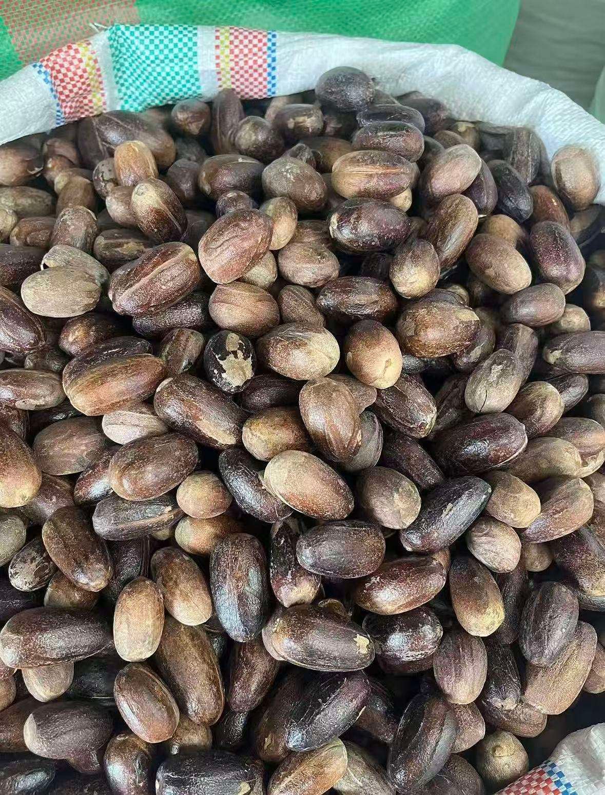 Reliable Supplier of Dried Long Cardamom Premium Food Grade Spice With Competitive Price