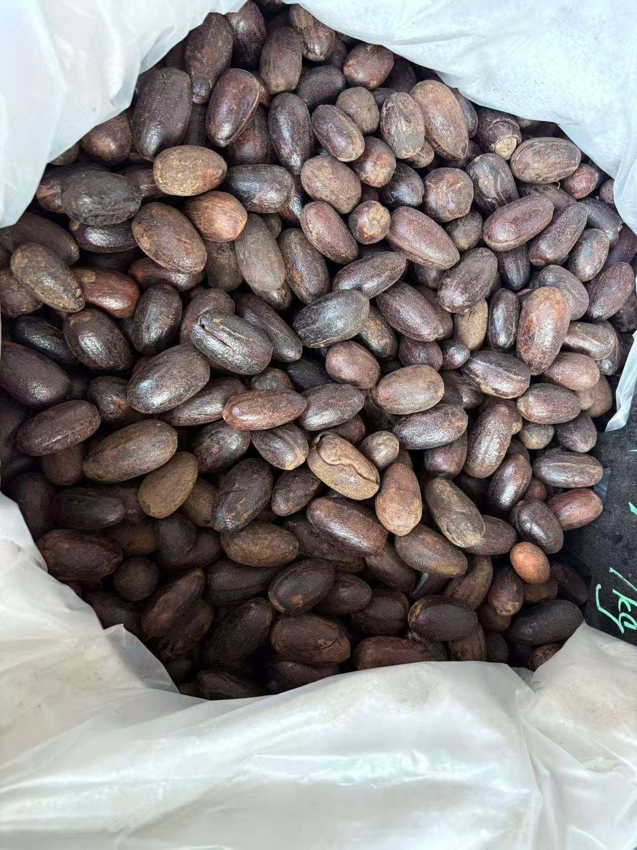 Reliable Supplier of Dried Long Cardamom Premium Food Grade Spice With Competitive Price